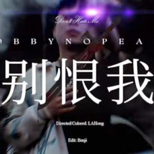 别恨我(BOBBYNOPEACE)