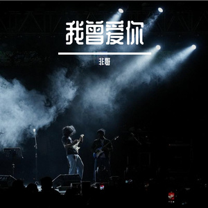 我曾爱你
