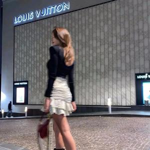 楼顶上的小斑鸠 (0.8x)