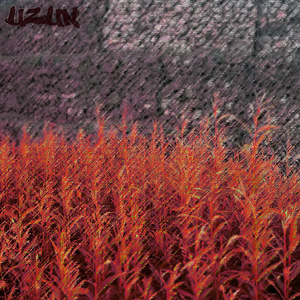 Сидя в огне