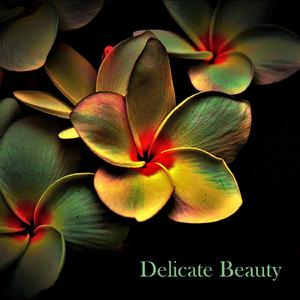Delicate Beauty