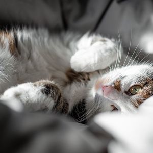 行云流水（BGM版）