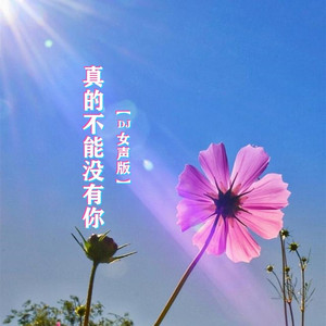 真的不能没有你DJ