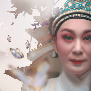 花为媒·百年好合订三生 杨童华 傅幸文