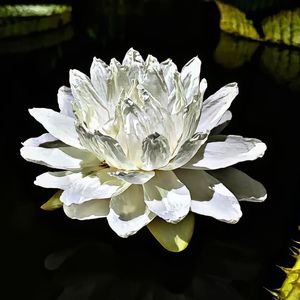 红血丝prod by 牙刷 JMC