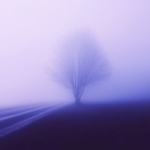 sadness and sorrow (slowed)