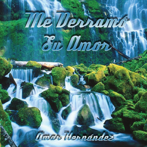 A Traves de Mi Ventana