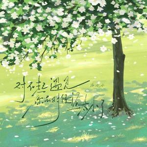 对不起遇见你的时候太小了