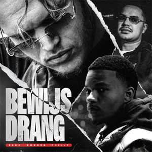 Bewijsdrang