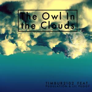 The Owl in the Clouds (feat. lil Puggy & pugulation) (Super Slowed)