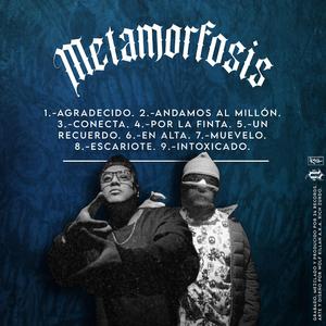 AGRADECIDO