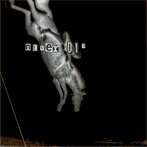 Never Die