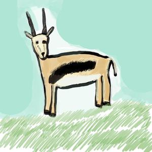 Gazelles