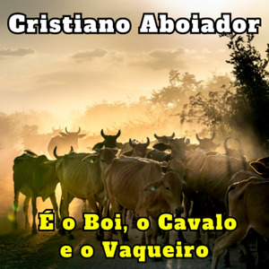 Tributo a Zé Marcolino (Cover)
