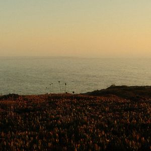 狼狗七《离别开出花》MMM