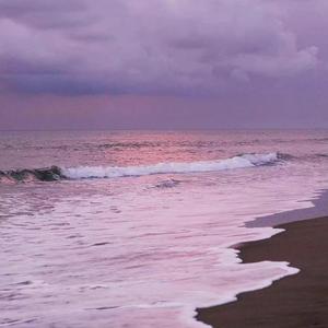 亲爱的同学（Cover：谭松韵）