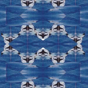 Tambourine (My Love)