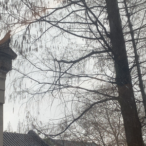 勇闯东南亚 人在他乡回不了家