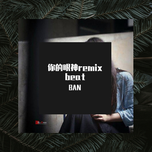 蔡琴-你的眼神remix beat（BAN remix）