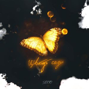 Цветут сады