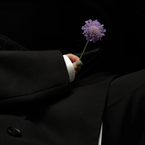 海王之歌（搞笑版）