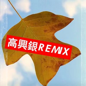 庄心妍《爱美无罪》意大利曲风 高兴银Mix