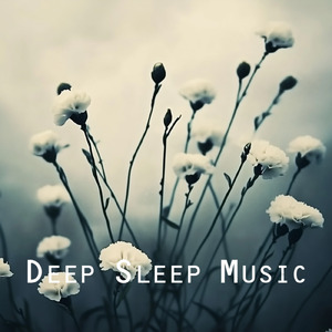 Alpha Aura: Sleep Enhanced