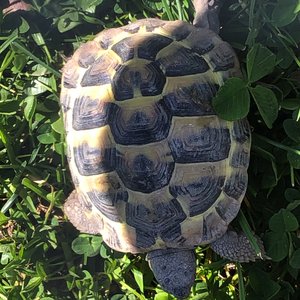 Ambiant , Ambience !!