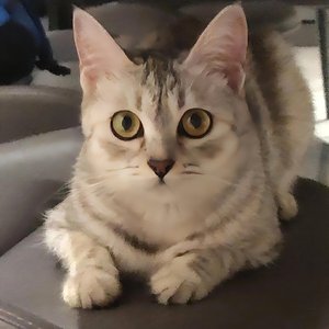 天空亮起中国红