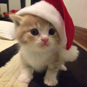 你不在身边我不想过圣诞