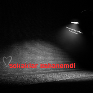 Sokaklar Bahanemdi
