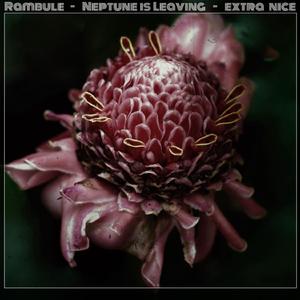 Neptune Is Leaving (Radio Edit)