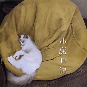 小康日记（壹）—写给你