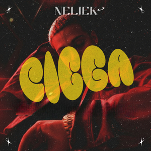 Ciega