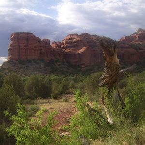 Passing Clouds (Harp and Strings)