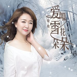 爱如雪花朵朵（DJ月之歌版）