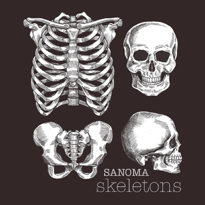 Skeletons