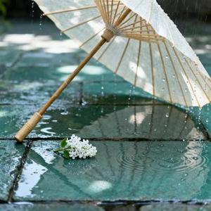 伞映雨帘