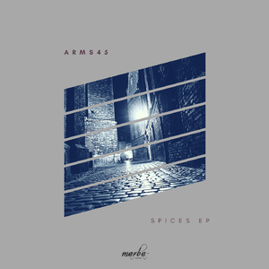 Miami Spice (Original Mix)