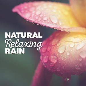 Sleep Through the Downpour