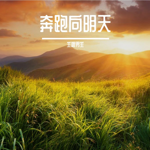 爱已退市