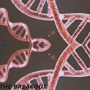 The Breakout (Extended)