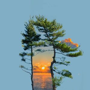 变兔子氛围感(BGM版)