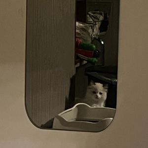 呆滞在六月六（Prod.Gr33nartBeats）