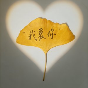 惦记你的那些小事