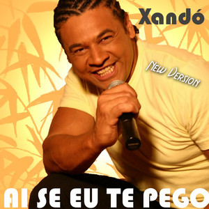Ai Se Eu Te Pego (Karaoke Version)