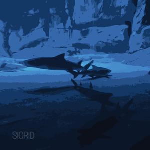 你大可不必（片段）