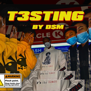 T3sting