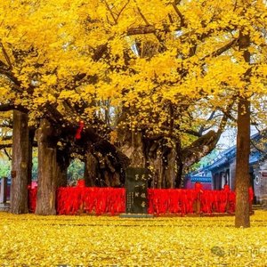 三生有幸