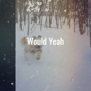 Would Yeah